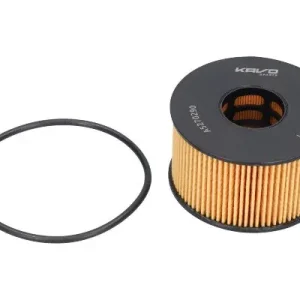 Zamów teraz Filtr oleju KAVO PARTS FOF-10171