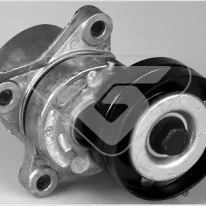 Rolka napinacza, pasek klinowy wielorowkowy HUTCHINSON T0252 Oferta