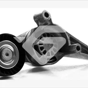 Premium Rolka napinacza, pasek klinowy wielorowkowy HUTCHINSON T0260