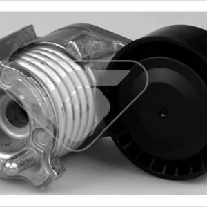Kup teraz Rolka napinacza, pasek klinowy wielorowkowy HUTCHINSON T0385